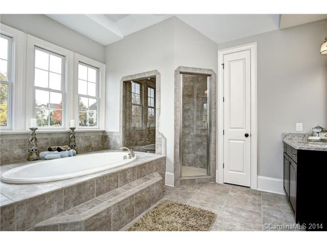 Luxury bath with soaking tub, steam shower and plenty of elbow r