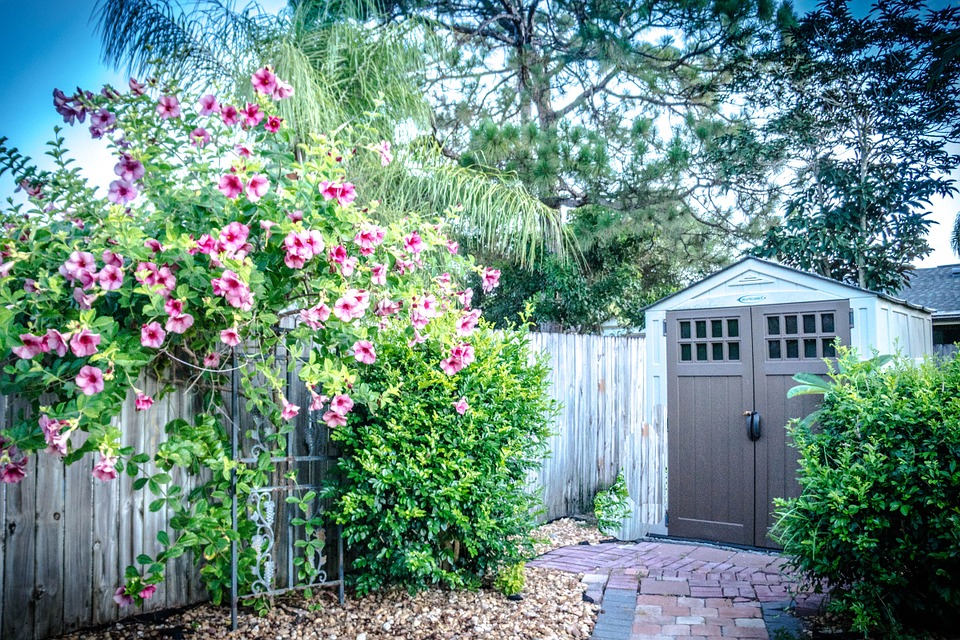 shed-418570_960_720