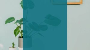 Affordable Charlotte Home Staging Swaps That Wow