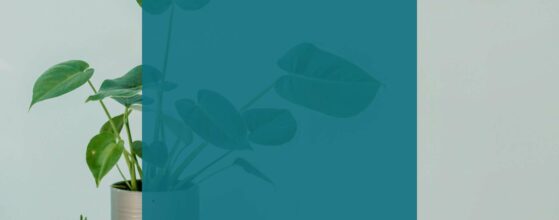 Affordable Charlotte Home Staging Swaps That Wow