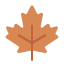 Fall Charlotte Home Staging